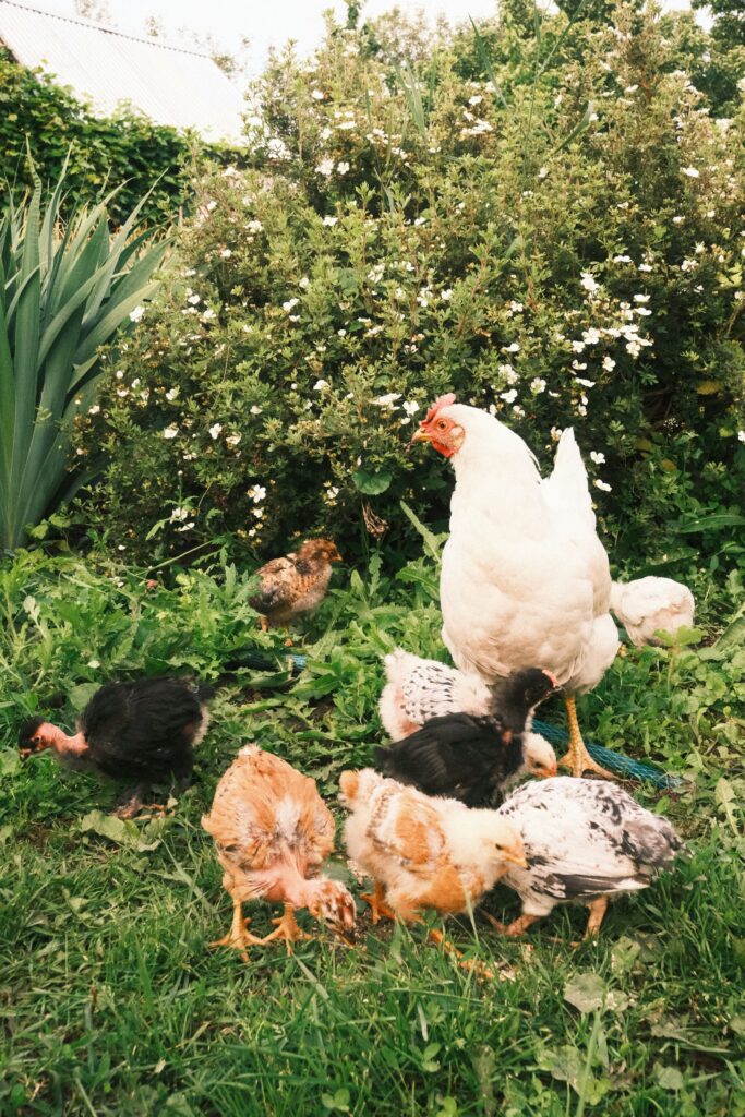 tatiana rudneva gzykqov3z2y unsplash